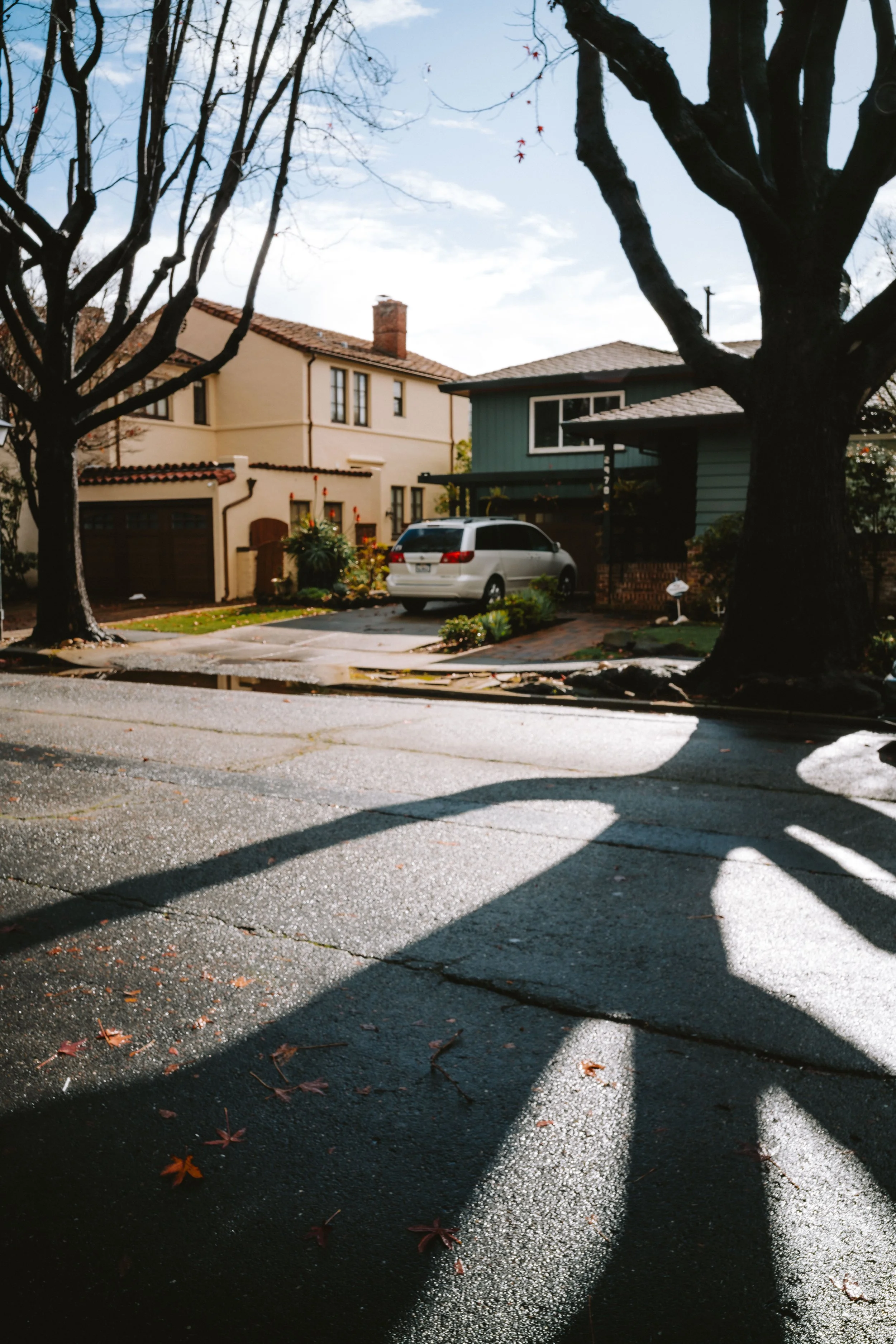 A7R00344.jpg