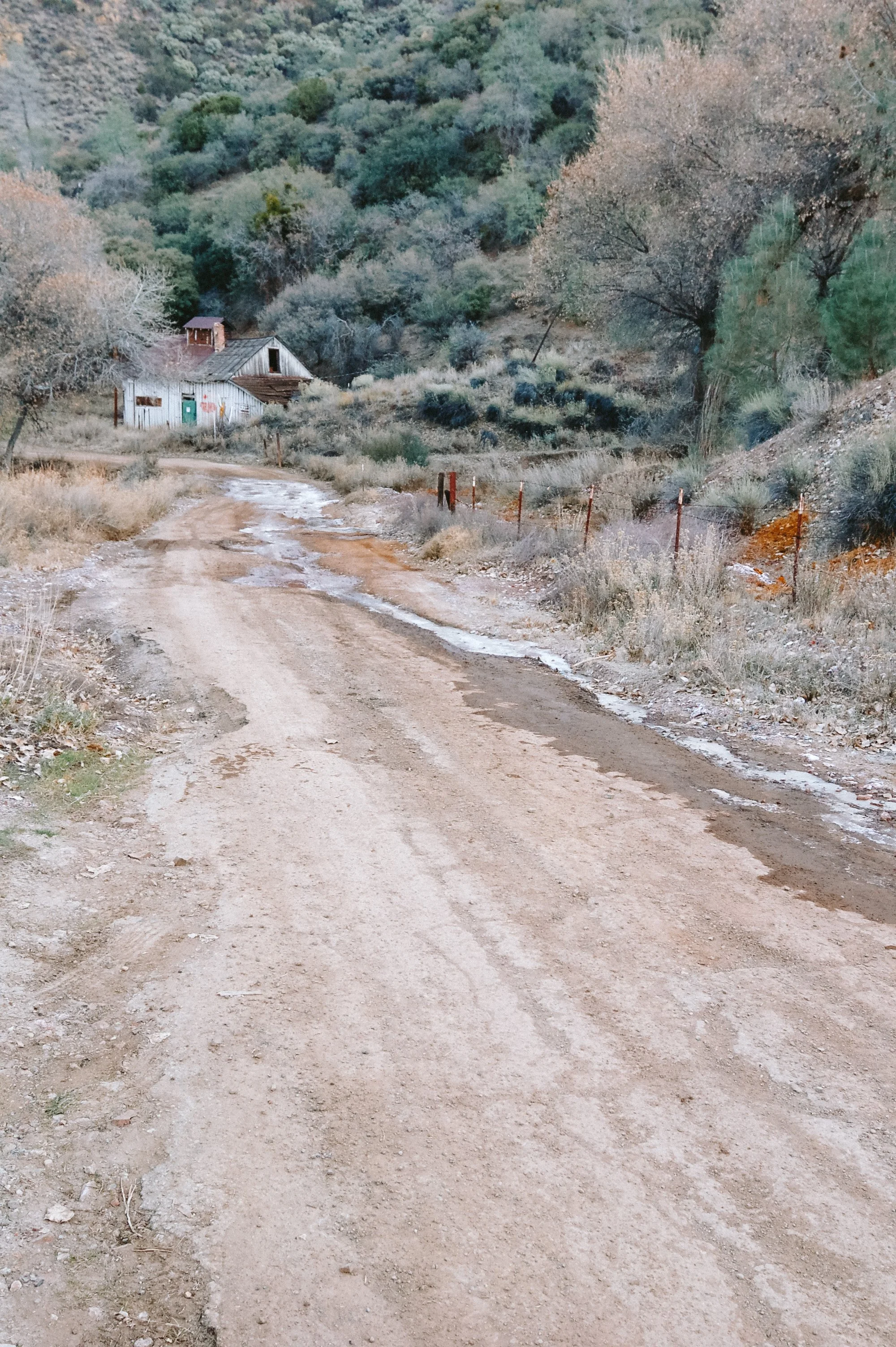 DSC_0119.jpg