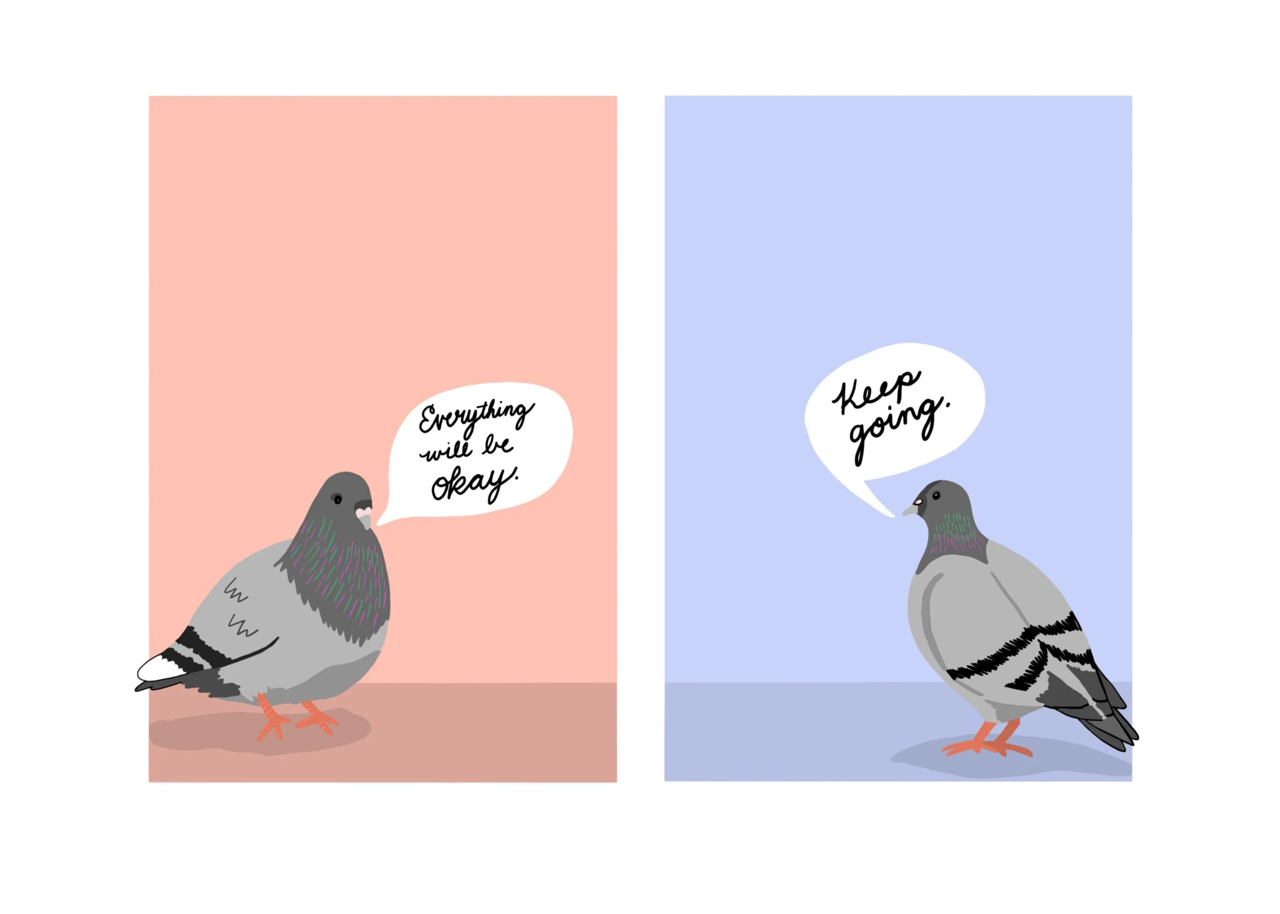 Pigeon Package Pre-order