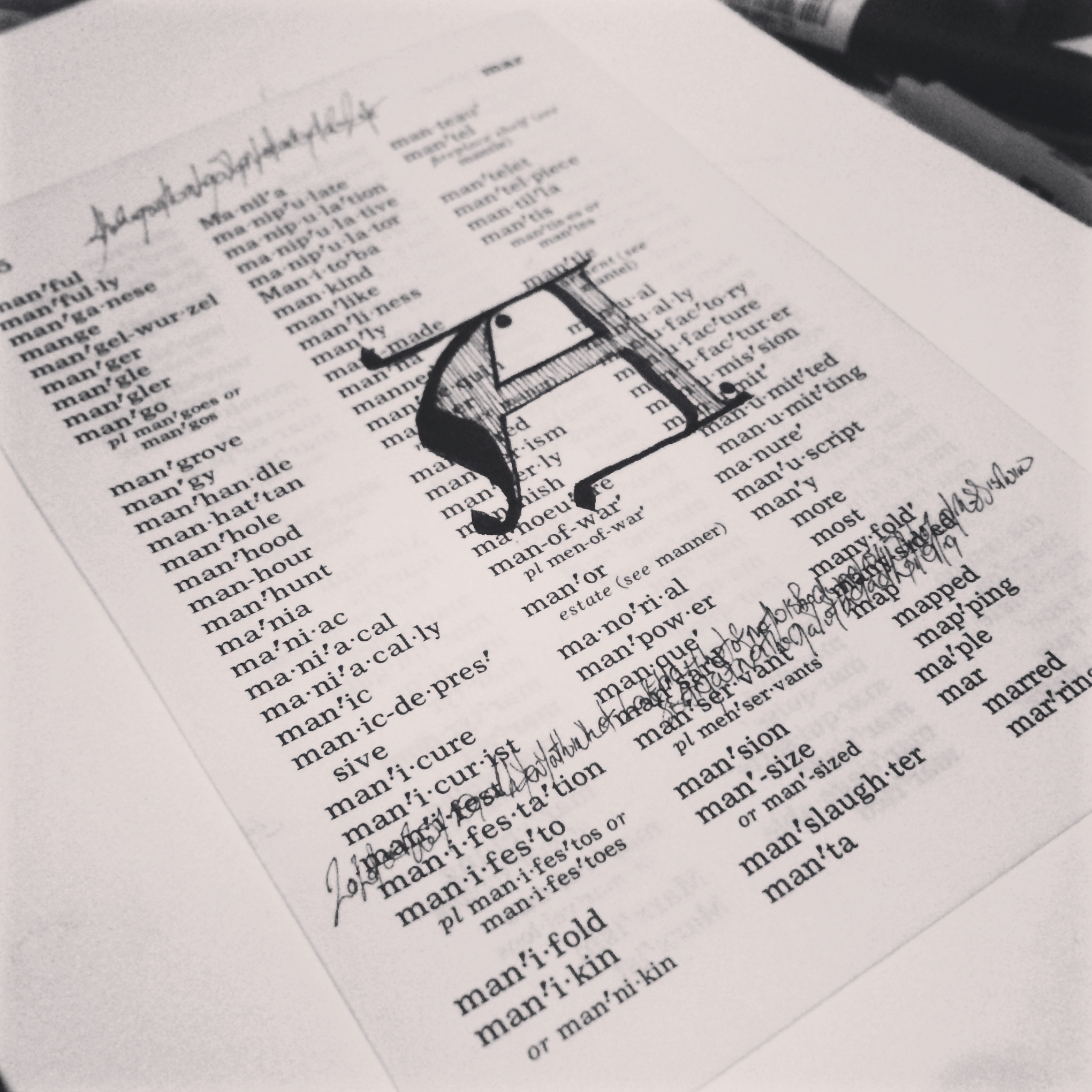 Pages of Websters Dictionary