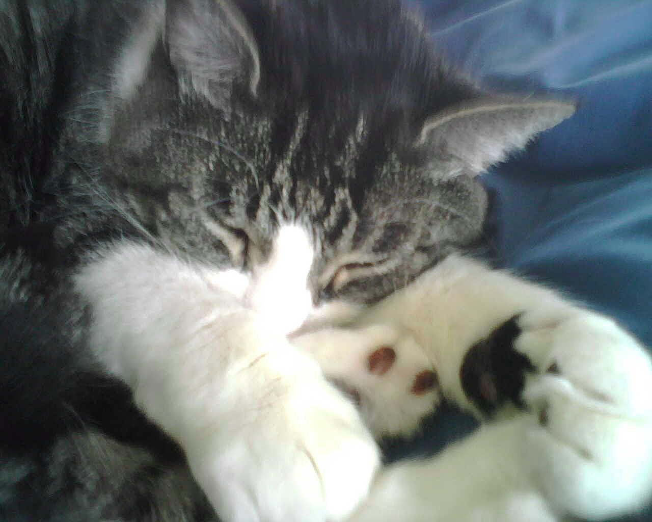 When Theo Slept