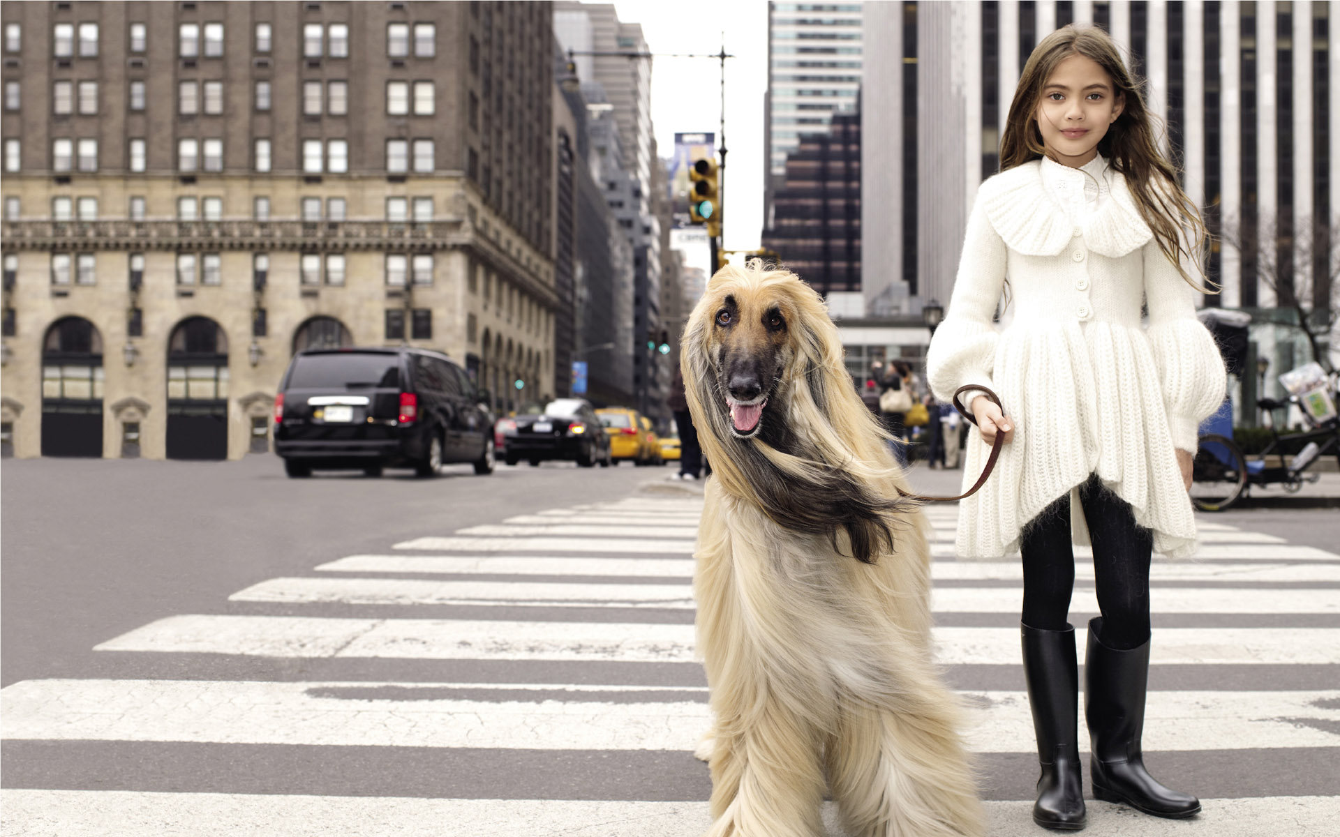 little girl walking a dog nyc wall paper.jpg