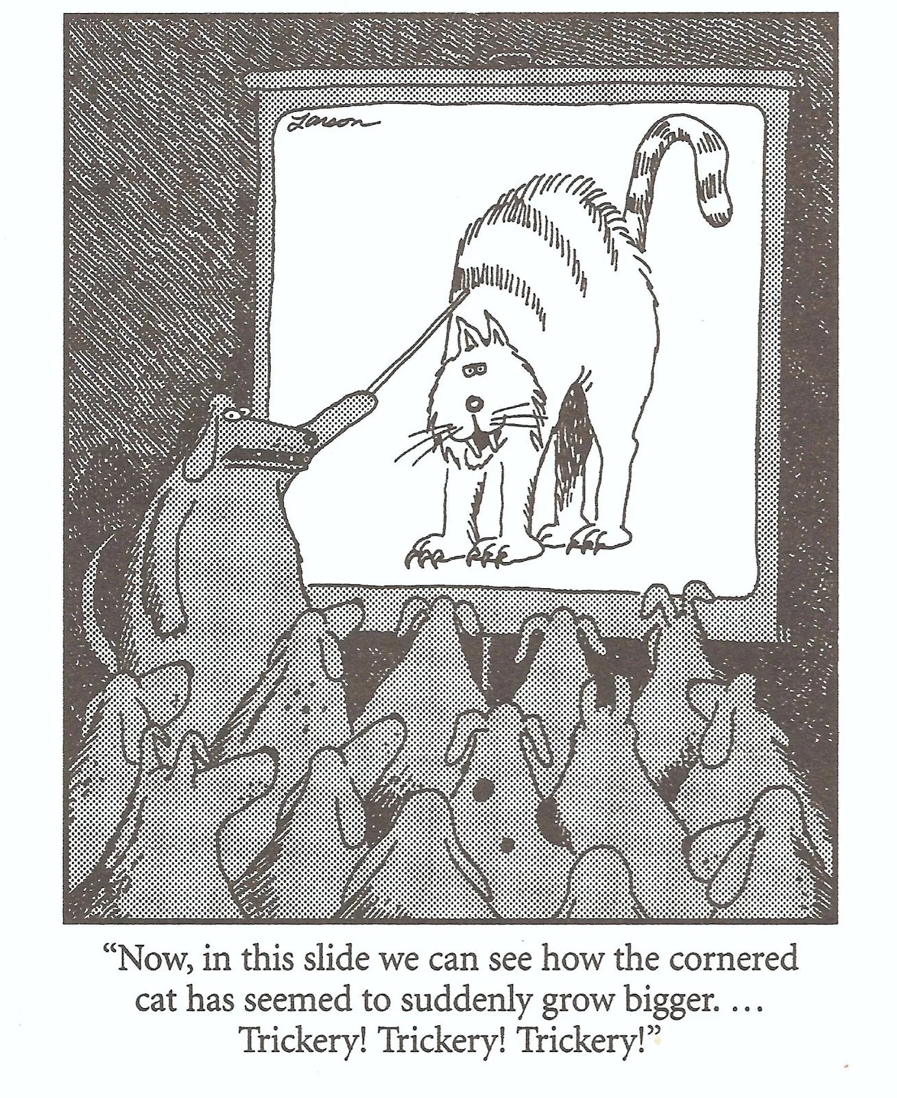 Education takes place 24x7 at Four Paws Prep!
