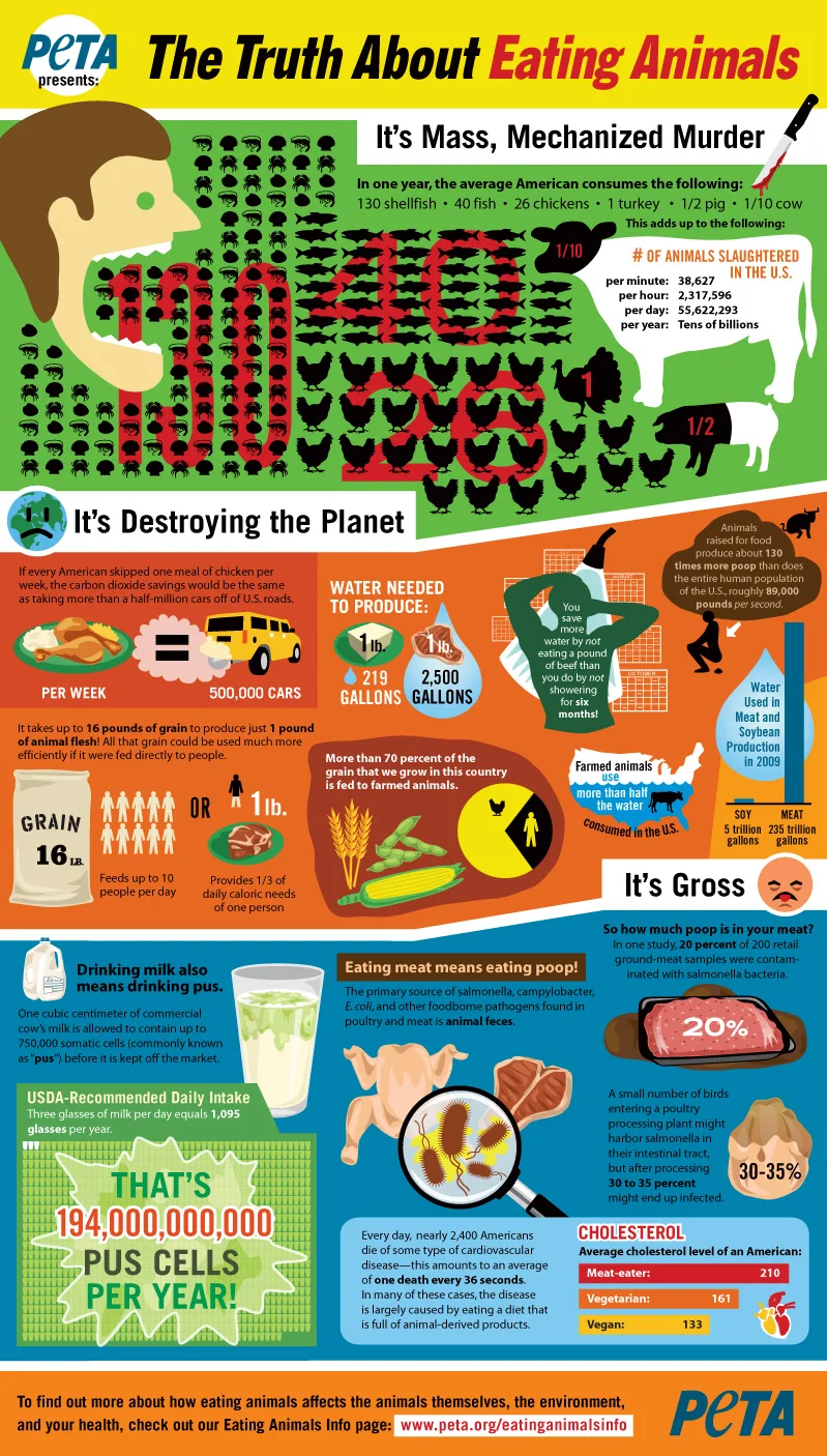 truth-about-eating-meat-infographic.jpg