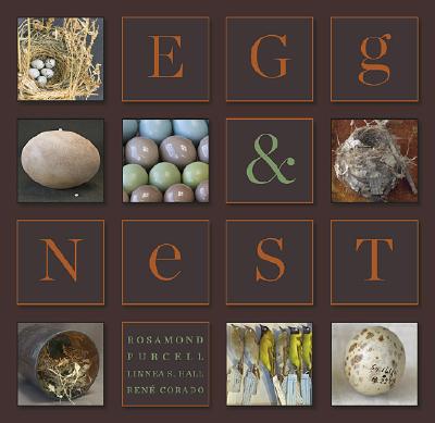 egg and nest book cover brown.jpg