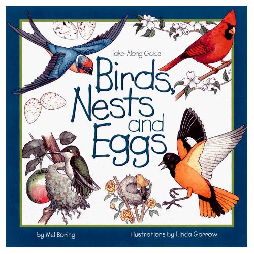 birds nests and eggs.jpg