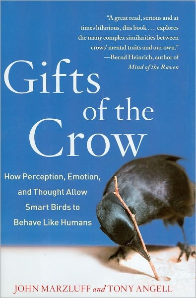 gifts of the crow.jpg