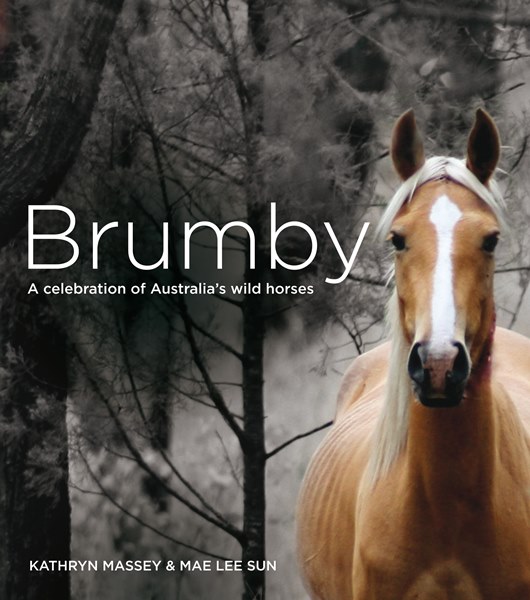 brumby a celebration of australias horse.jpg