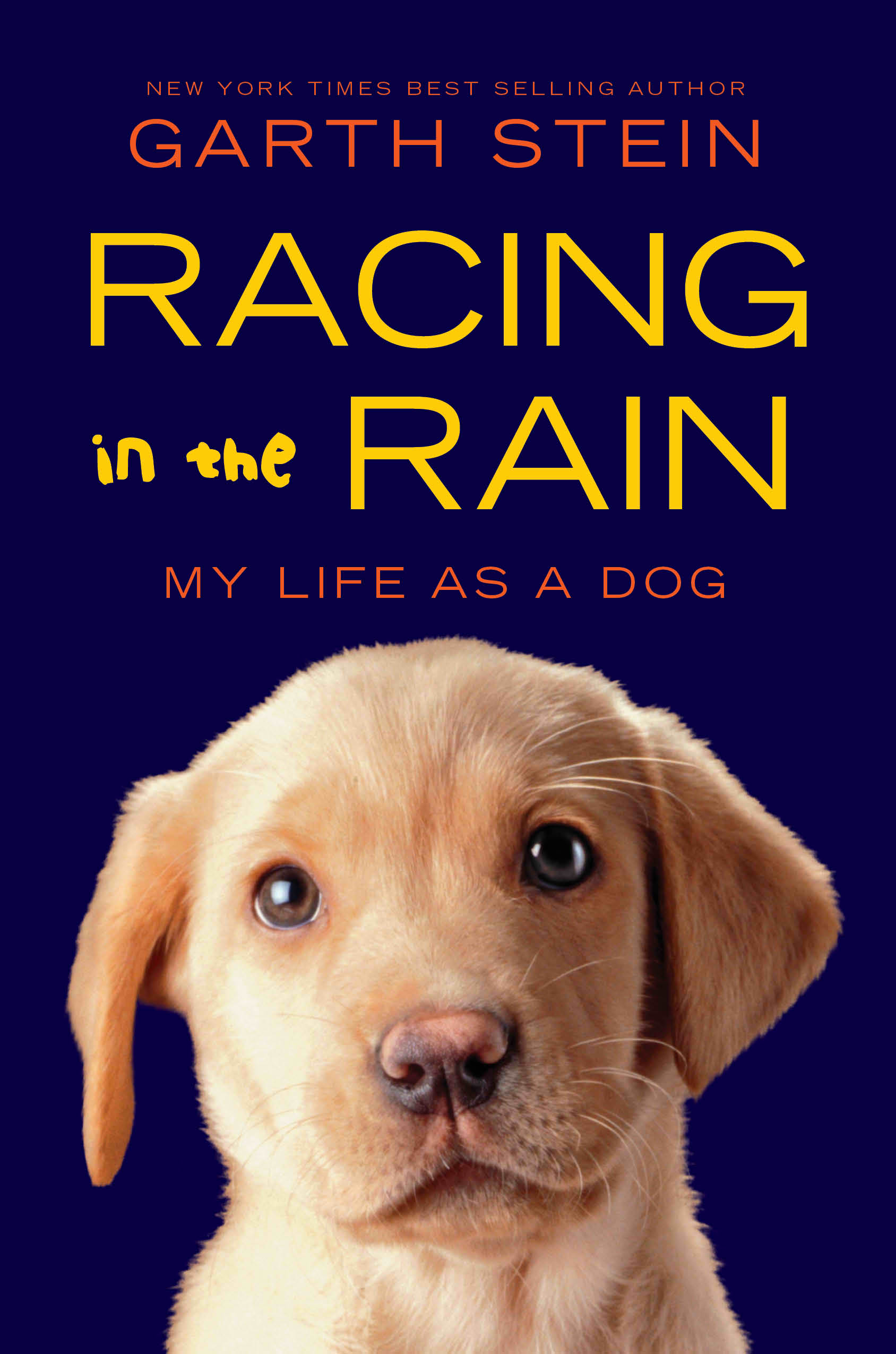 Racing-in-the-Rain2 paperback.jpg