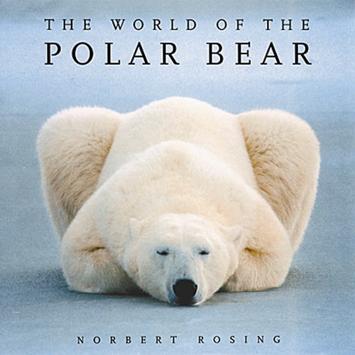 world of the polar bear cover.jpg