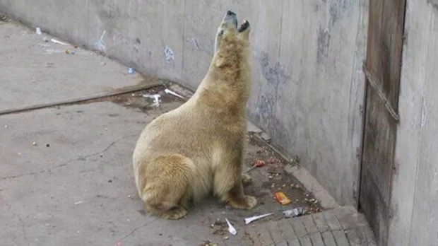 Arturo garbage.jpg