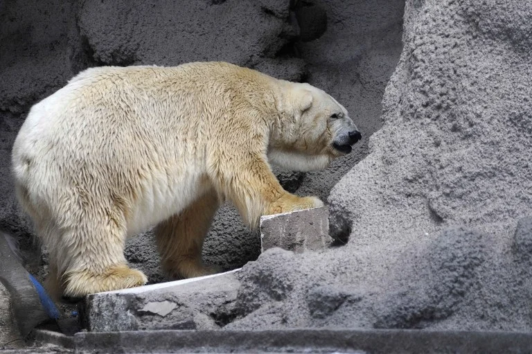 Arturo 3.jpg