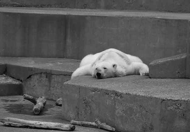 arturo-save black and white.jpg