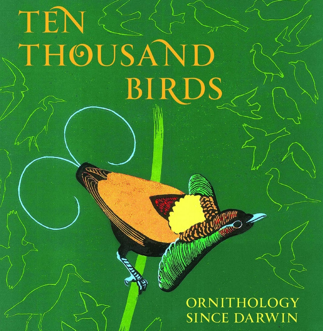 tim Birkhead Ten Thousand Birds.jpg