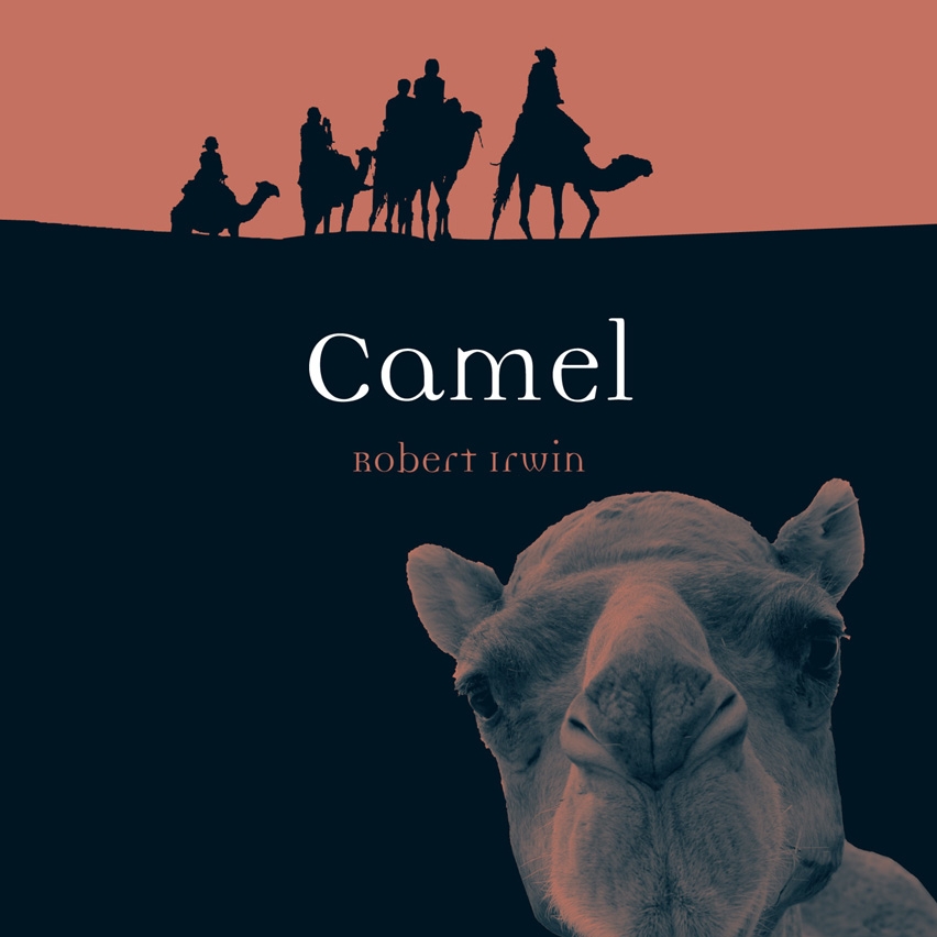 camel by reaktion books.jpg