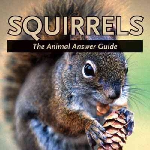 squirrels the guide book.jpg