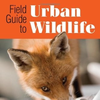field guide to urban wildlife book.jpg