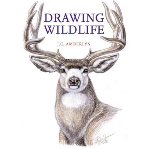 drawing wildlife jc amberlyn book.jpg