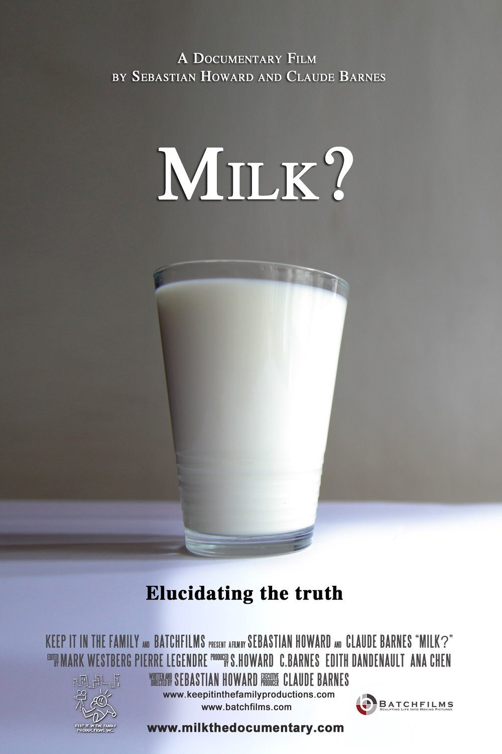 milk film 2012 poster.jpg