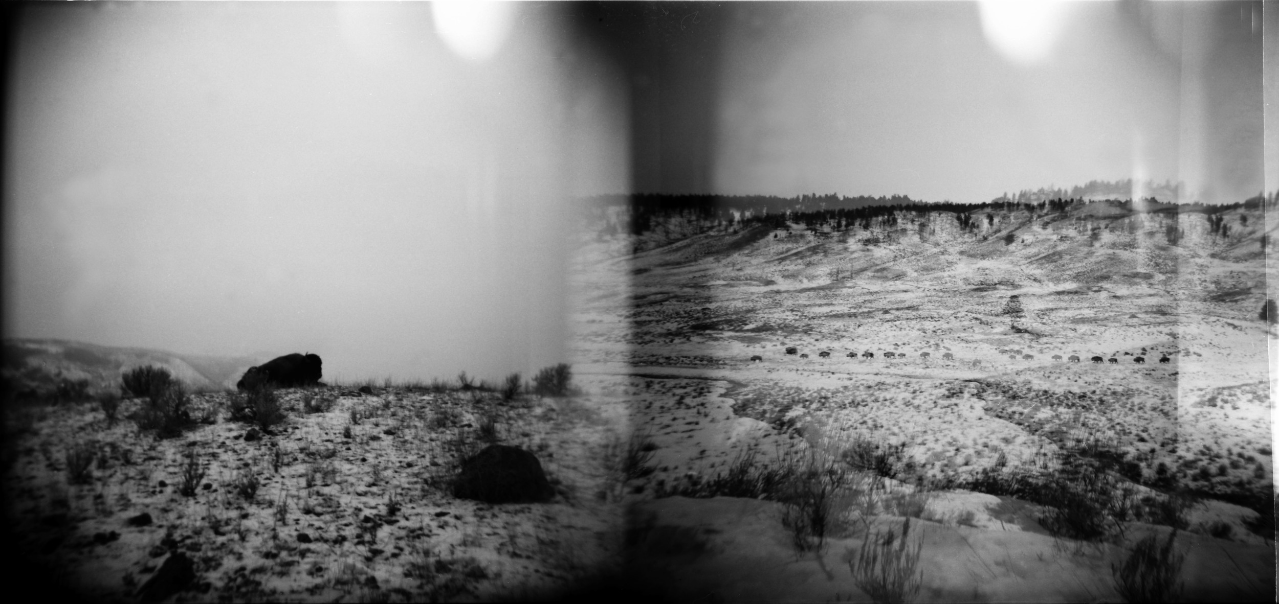 holga bw desert ls.jpg