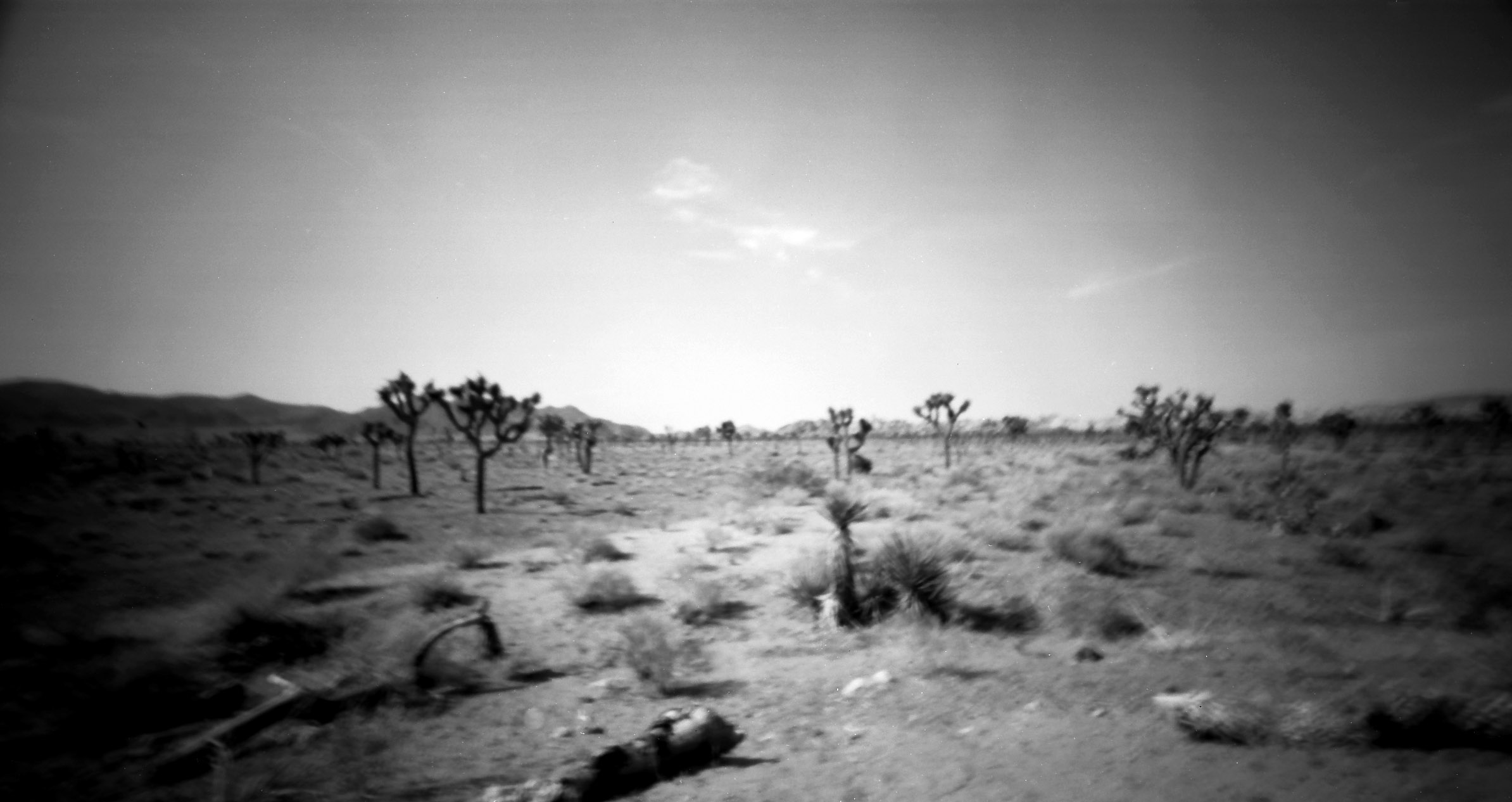 joshua pinhole 4.jpg