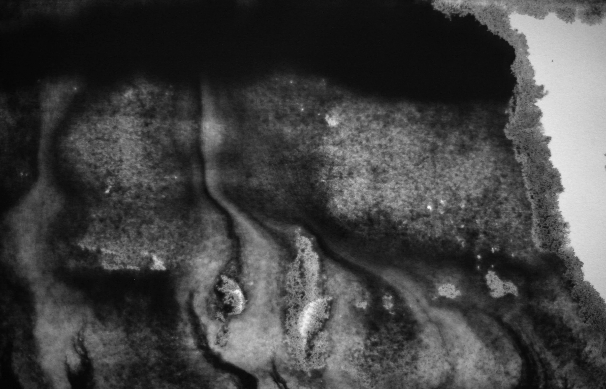 Transient