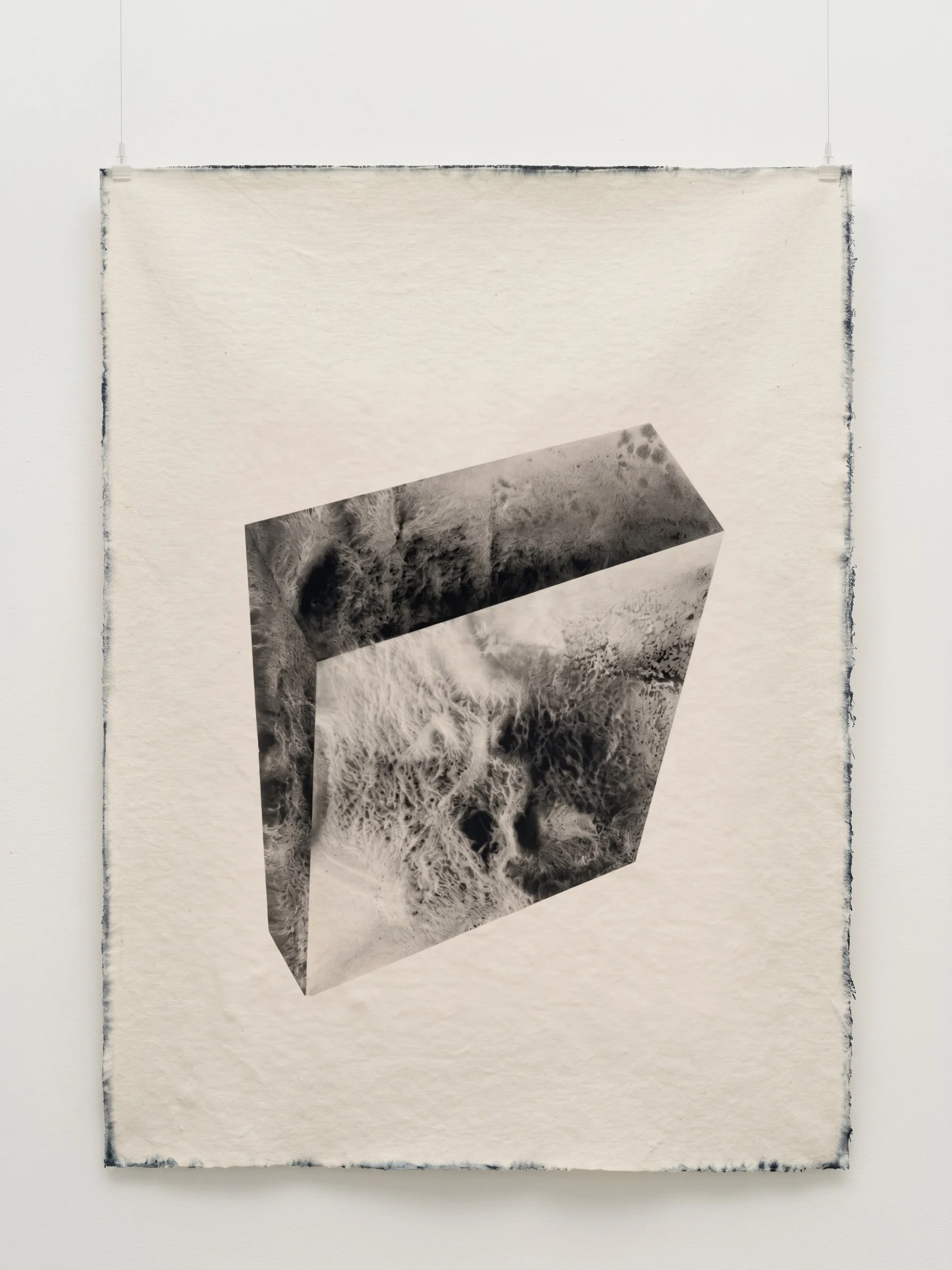 Clean_C (flipped) aka SEVEN.jpg