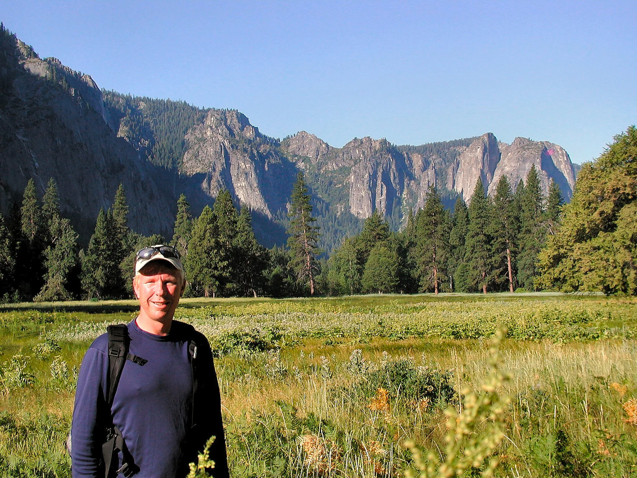 Jay Yosemite Valley Meadow PSP[1].jpg