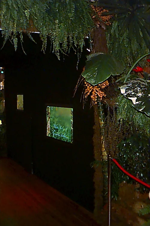 foliagescreen2.jpg