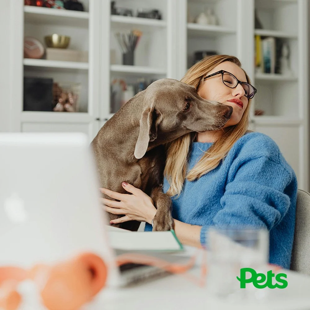 pets-thumb.jpg