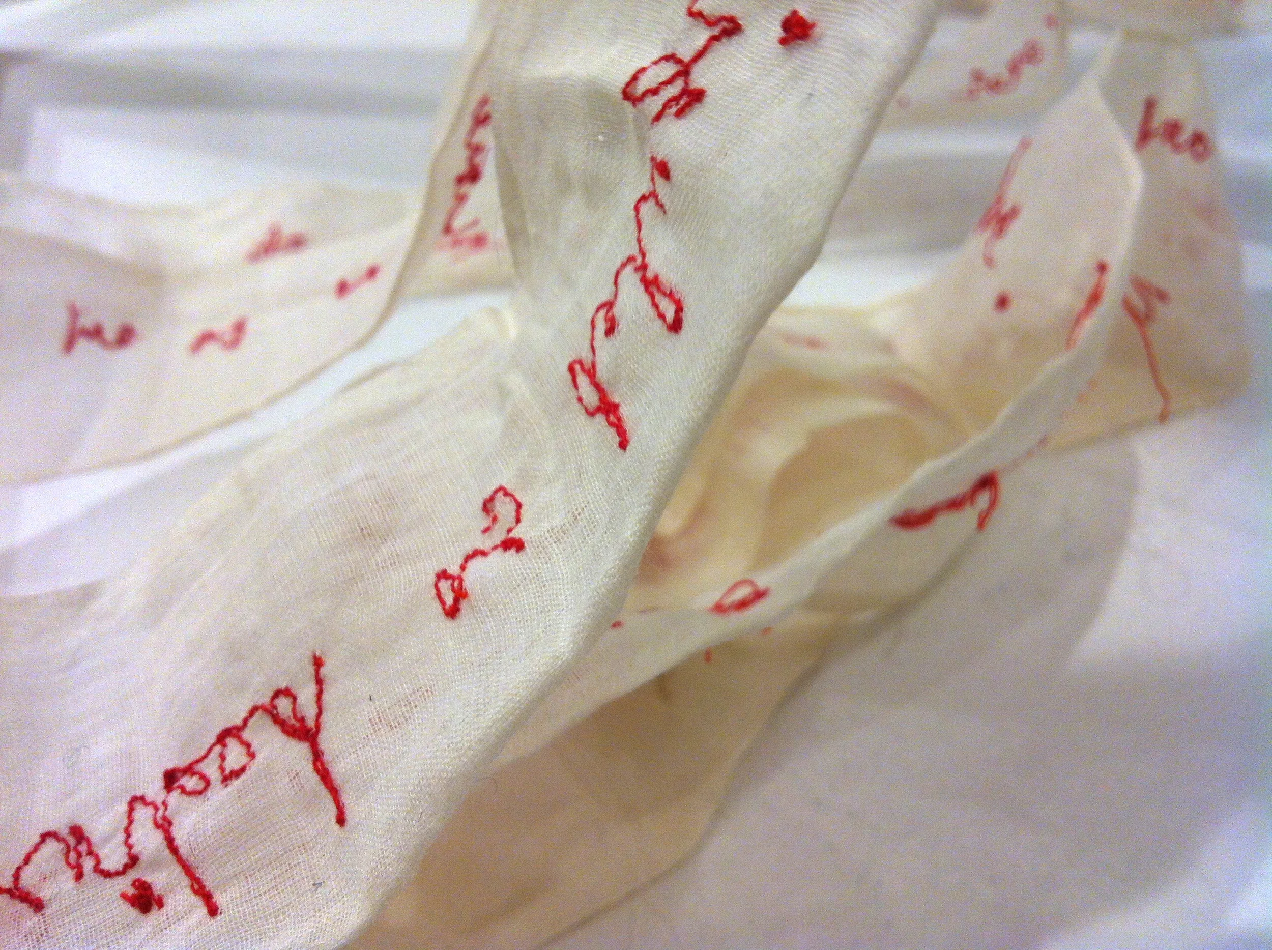 My schizophrenic skirt, text detail; Claire Blackburn