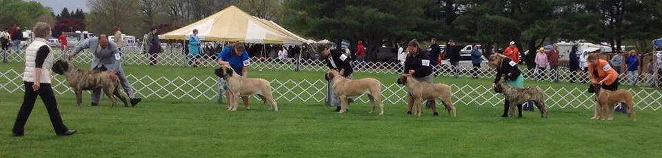 Four Lazarus girls in "Best of Opposite" in Trention, NJ