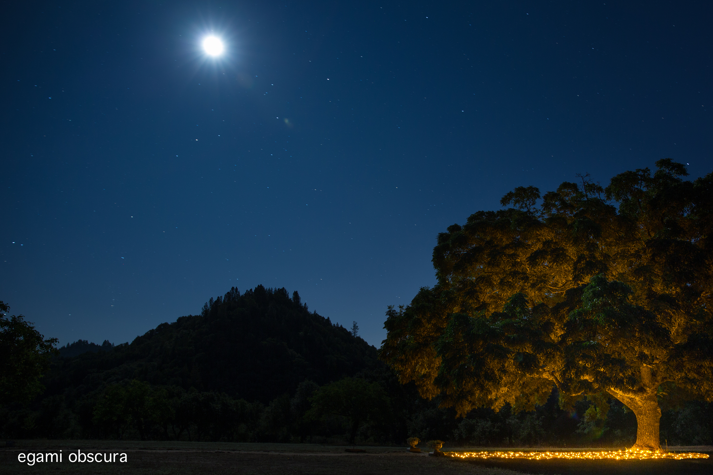 Soft stillness and the night