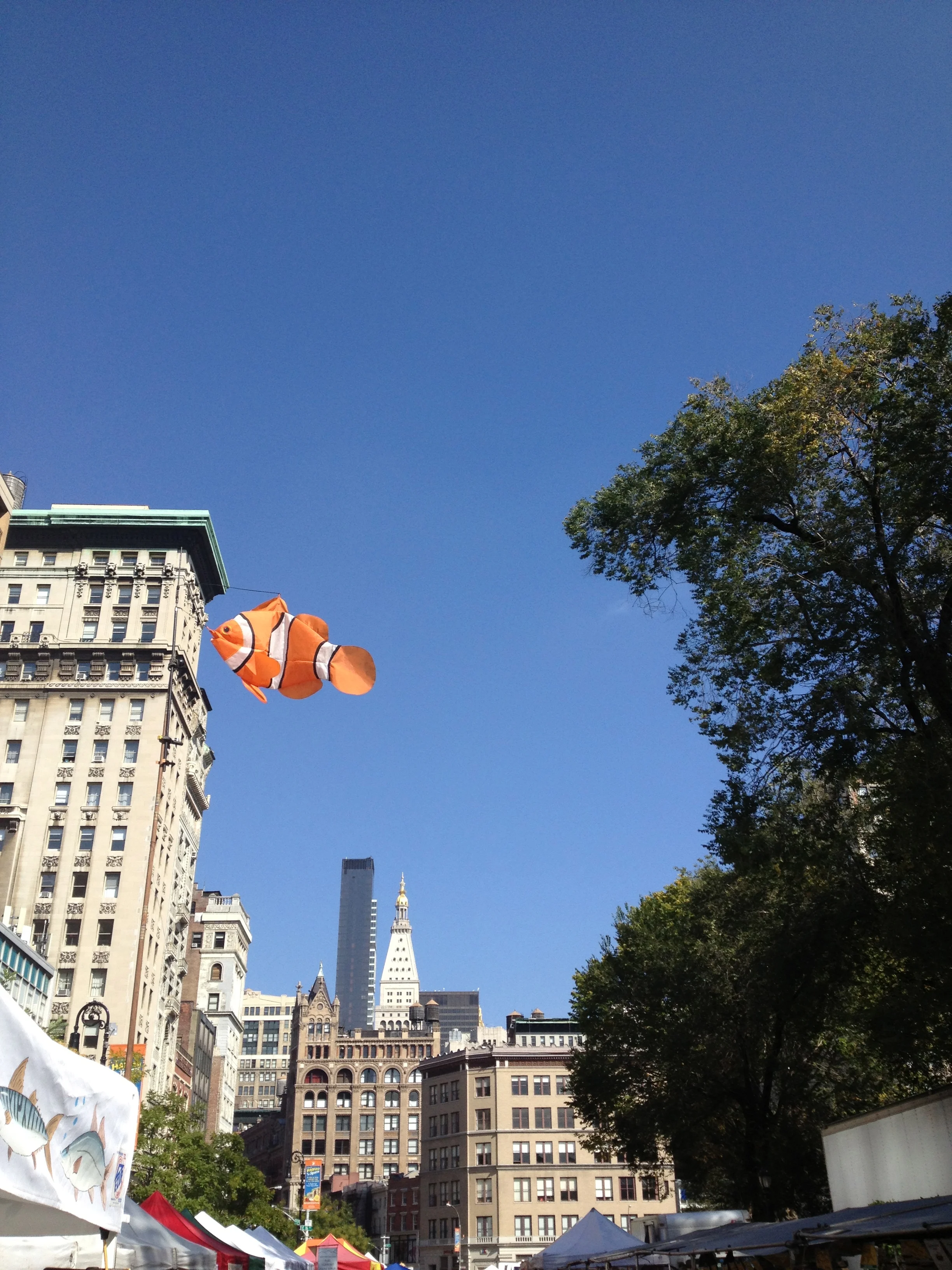 photo 24.jpg