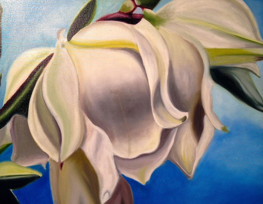 "White Satin"   16" x 20"   Oil on Canvas