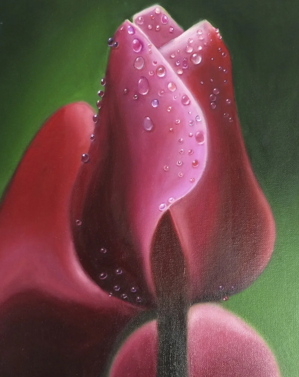Just Dew It 9"x12" Oil on Canvas