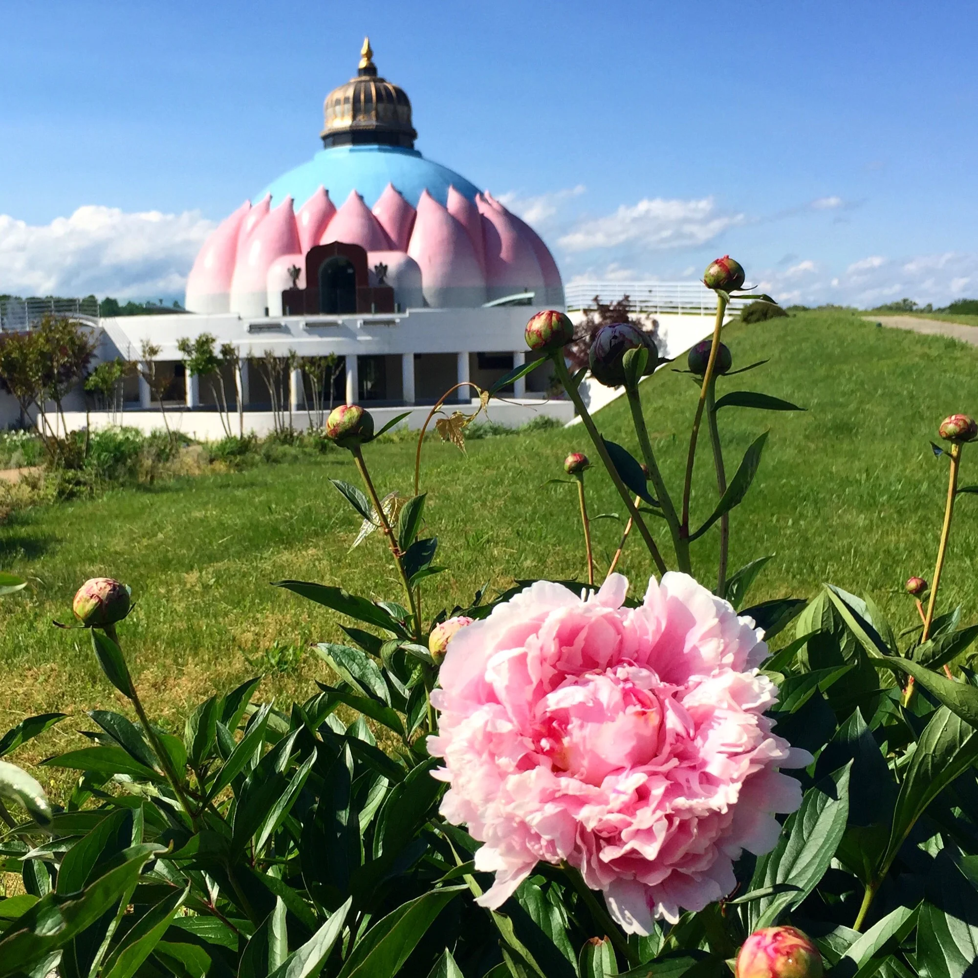 Lotus Temple, Yogaville, VA
