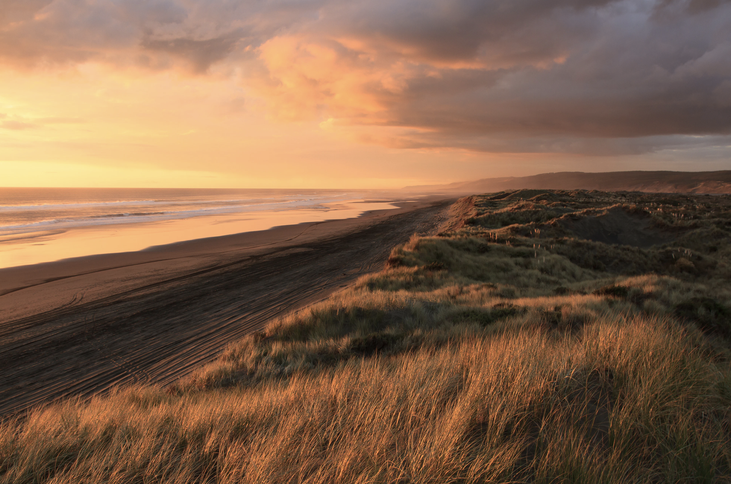 Petr Vyšohlíd.png