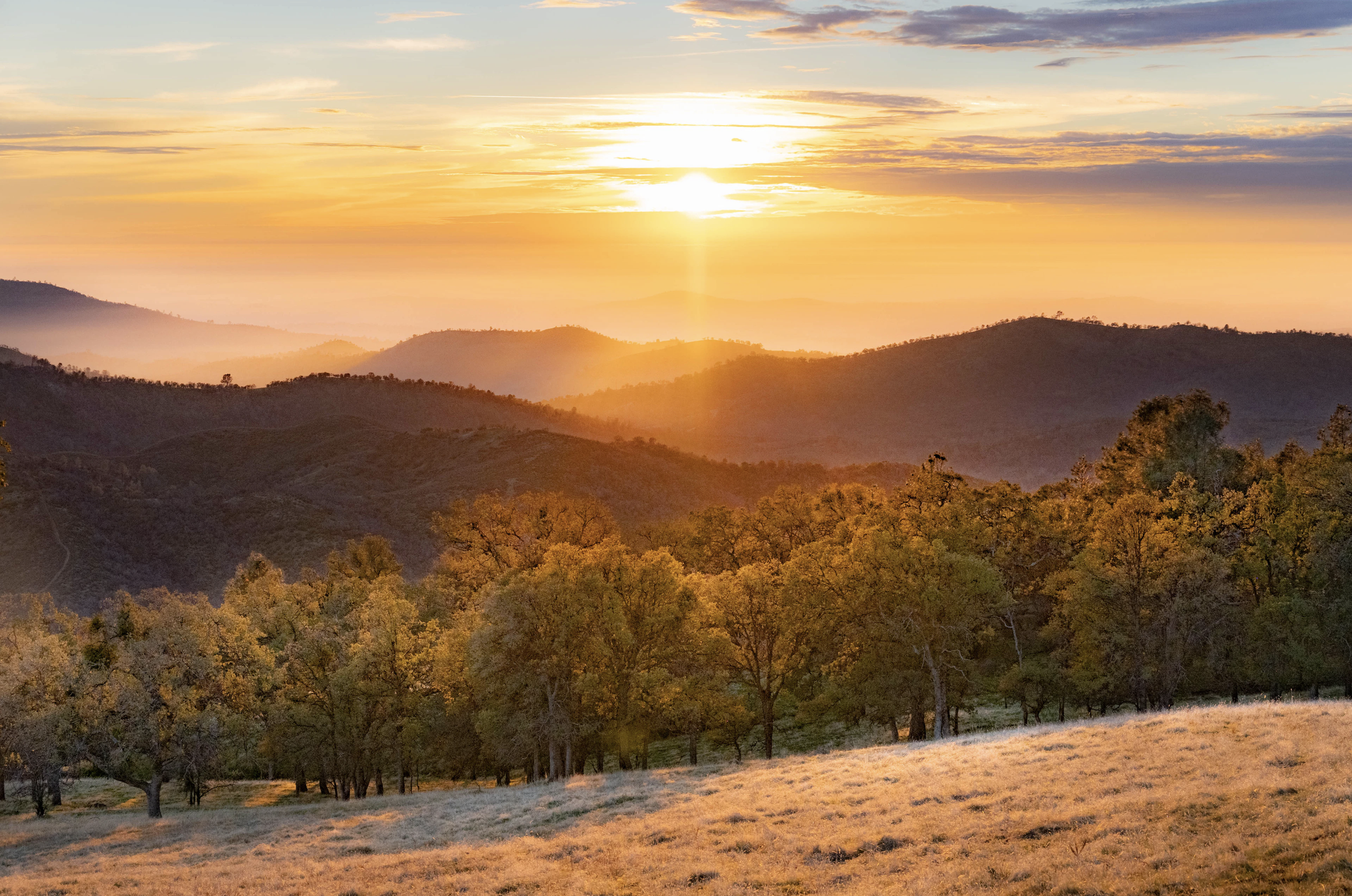 Samantha Fortney.png