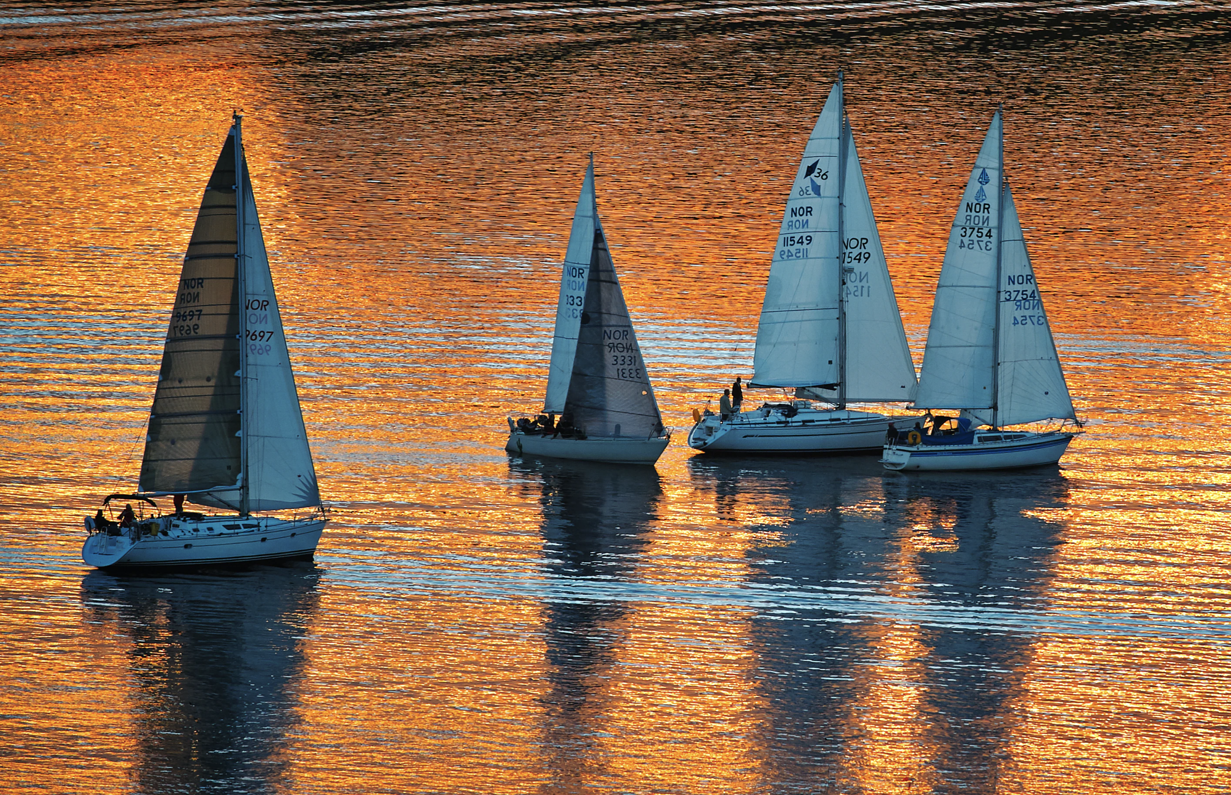 Vidar Nordli-Mathisen 8 .png