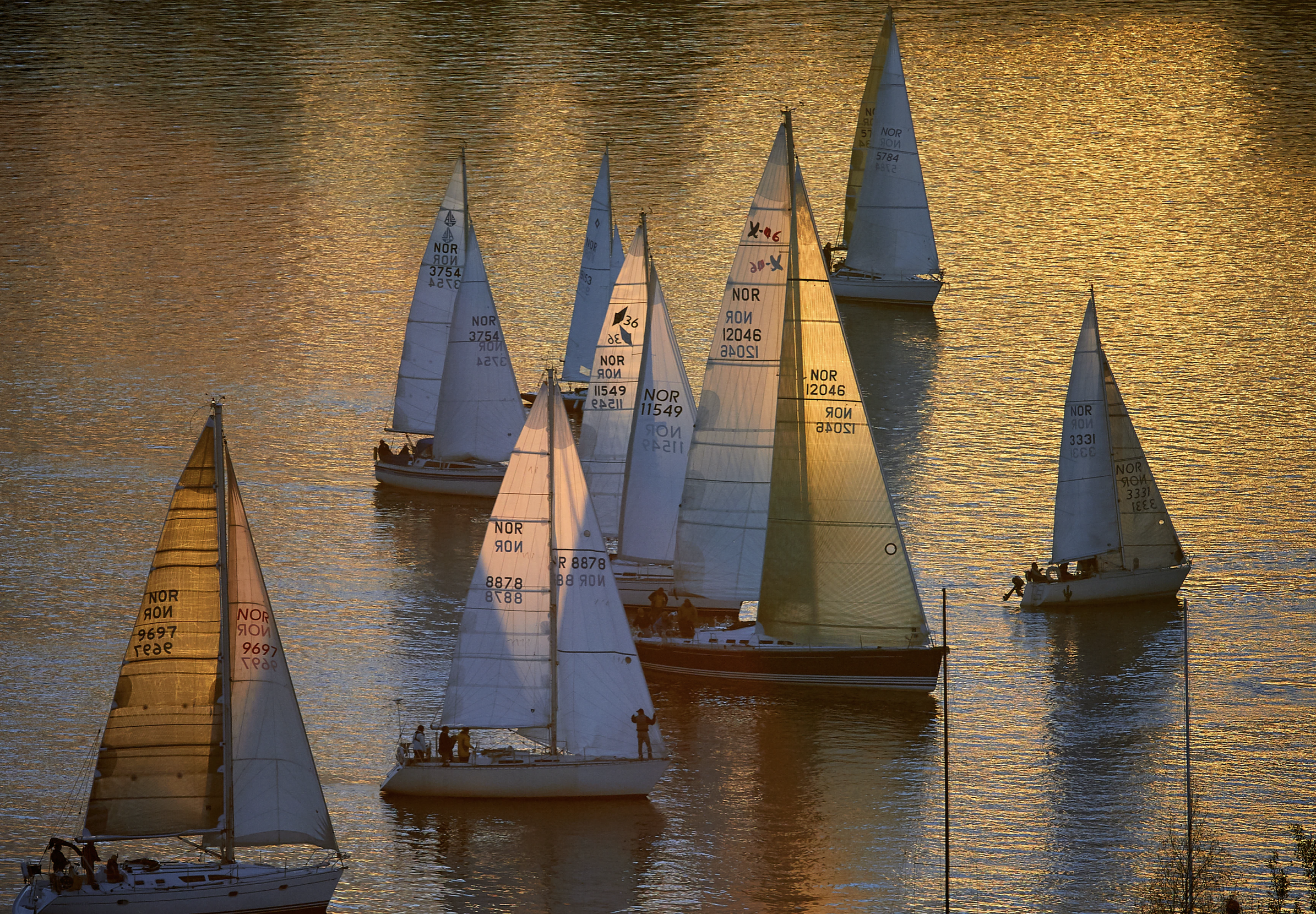 Vidar Nordli-Mathisen 7 .png