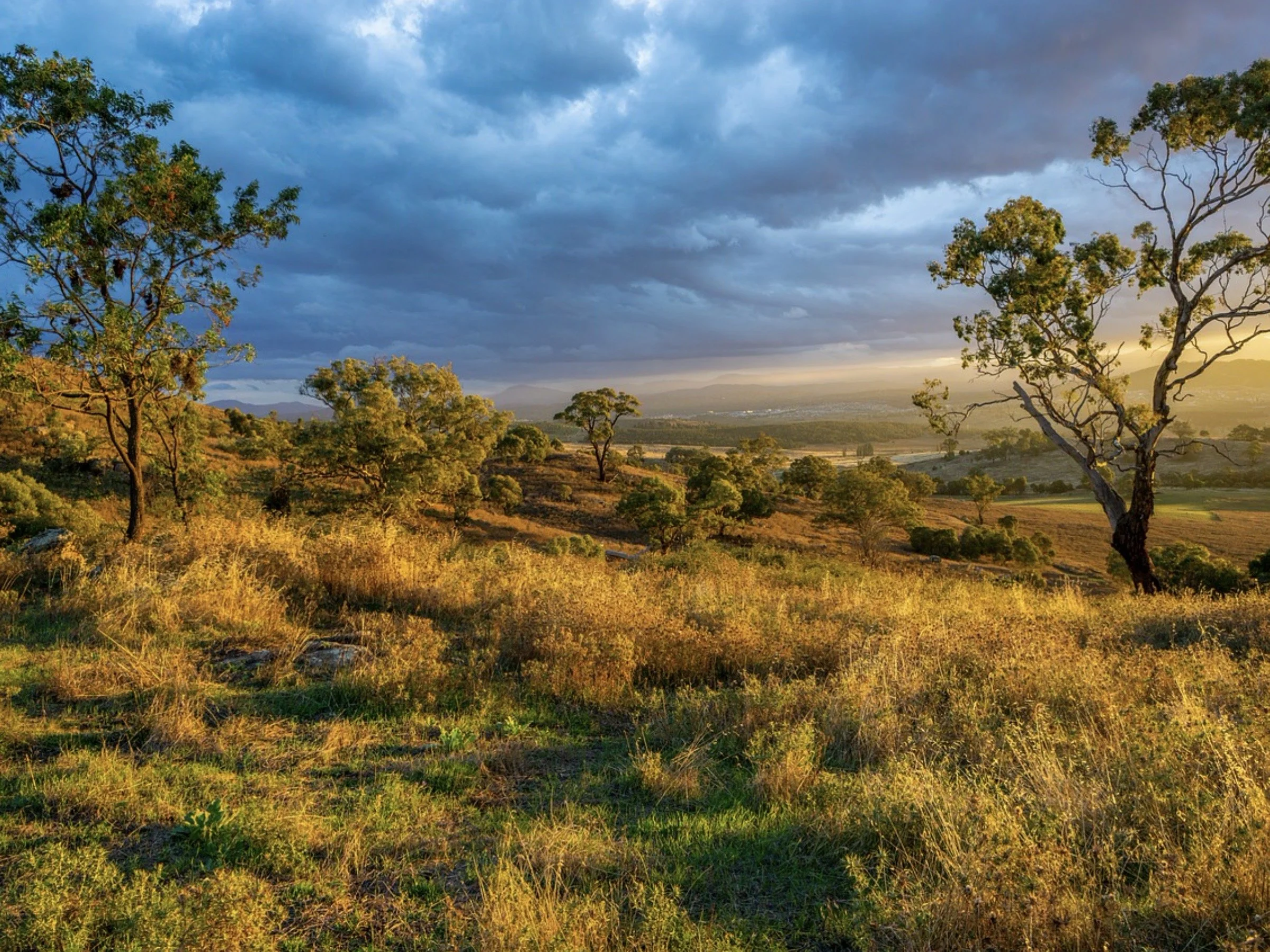 Screen Shot 2023-11-06 at 9.33.07 AM.jpeg