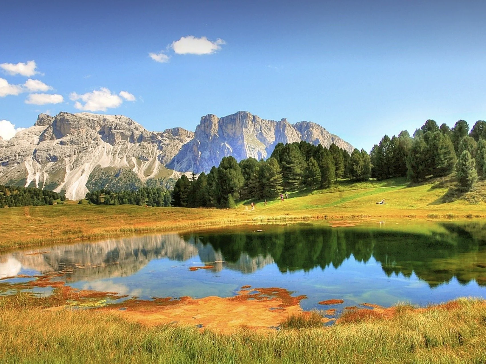 Screen Shot 2023-11-06 at 9.25.59 AM.jpeg