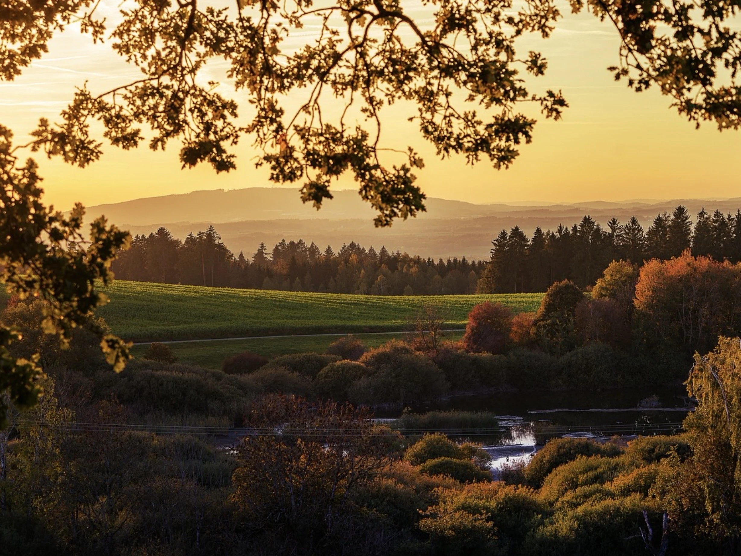 Screen Shot 2023-11-06 at 9.30.42 AM.jpeg