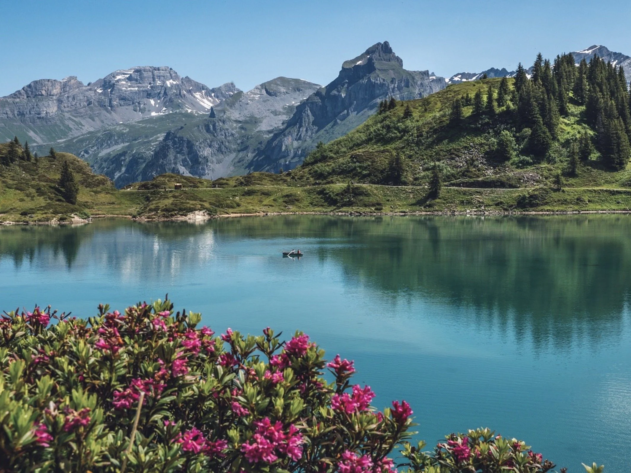 Screen Shot 2023-11-06 at 9.24.28 AM.jpeg