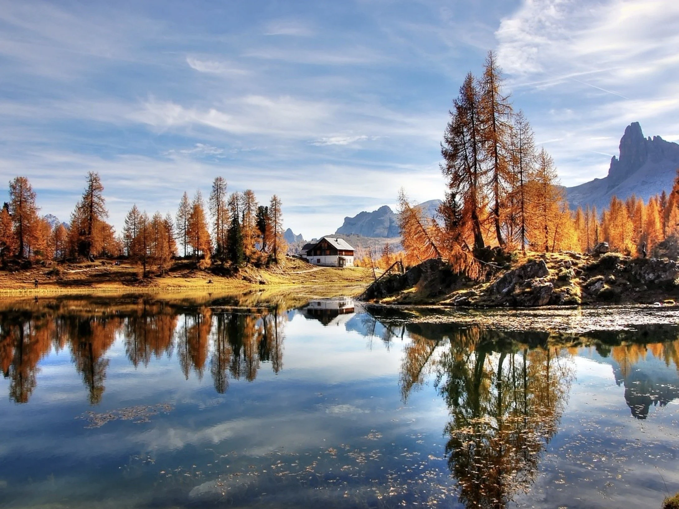 Screen Shot 2023-11-06 at 9.22.48 AM.jpeg