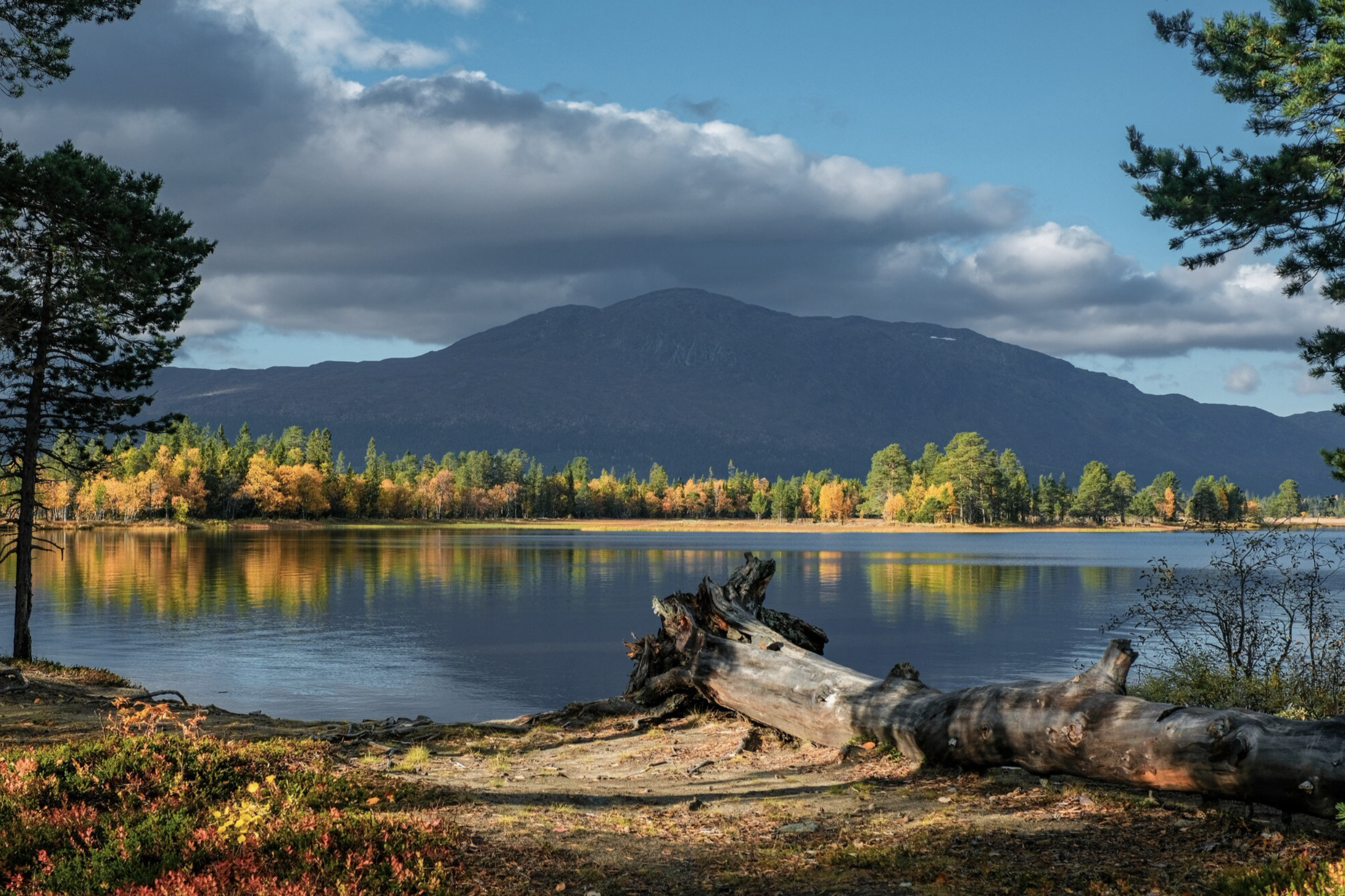 Screen Shot 2023-11-06 at 11.30.30 AM.png