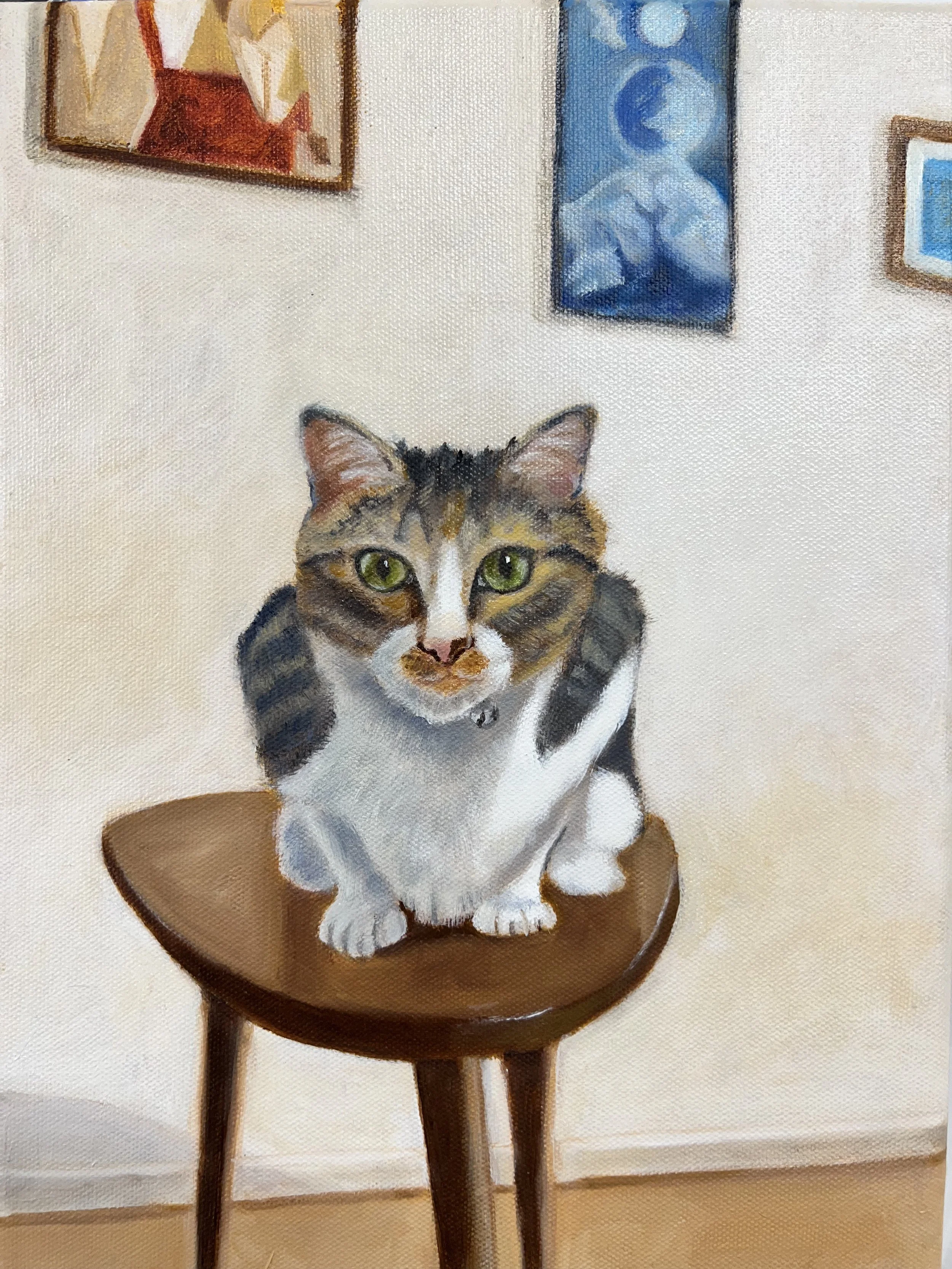 Dale Eshelmans cat.jpeg