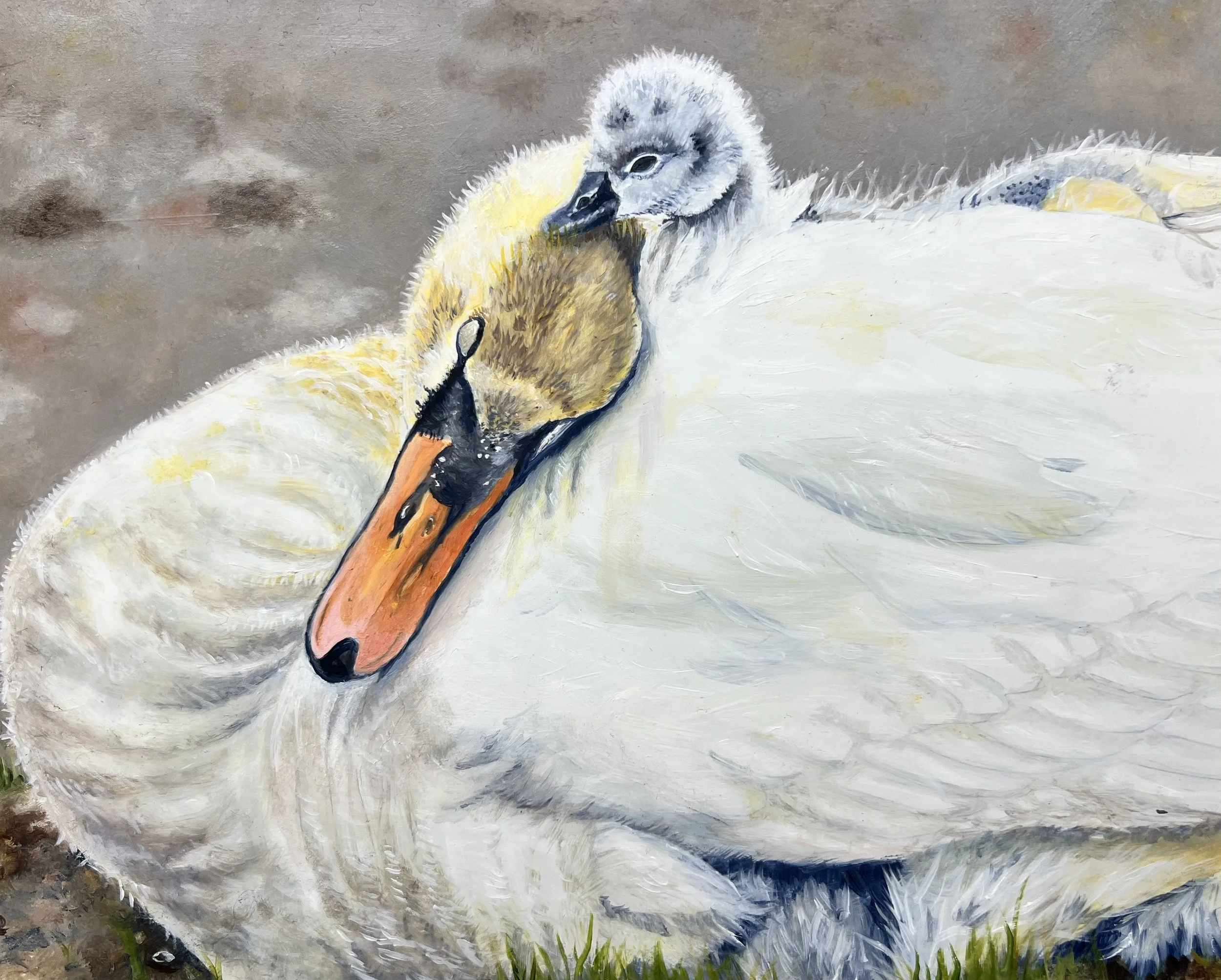 Ann Vaphiades 11-21-2025.jpeg