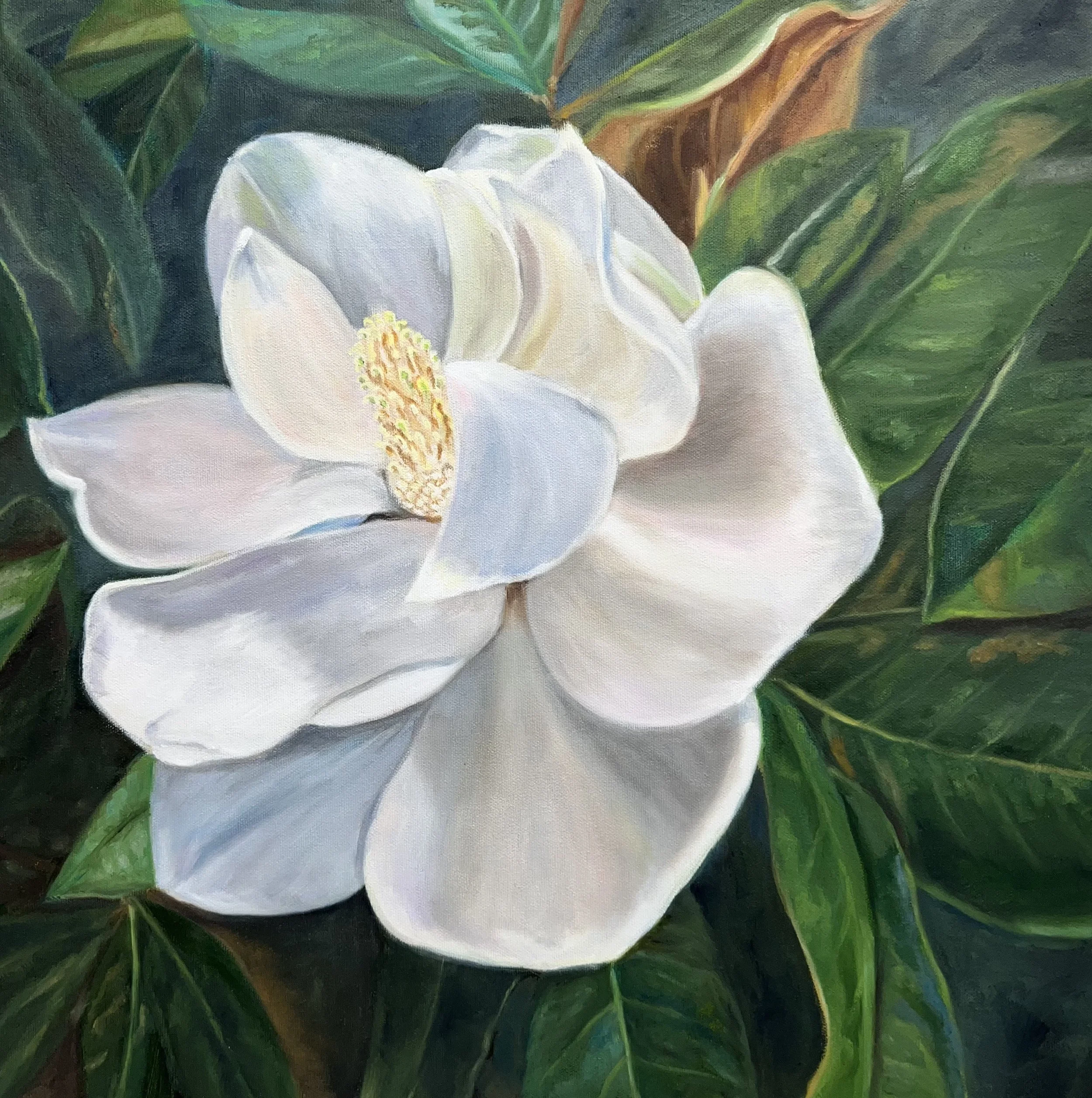 Suzanne Bowness - magnolia 12-16-2025.jpeg